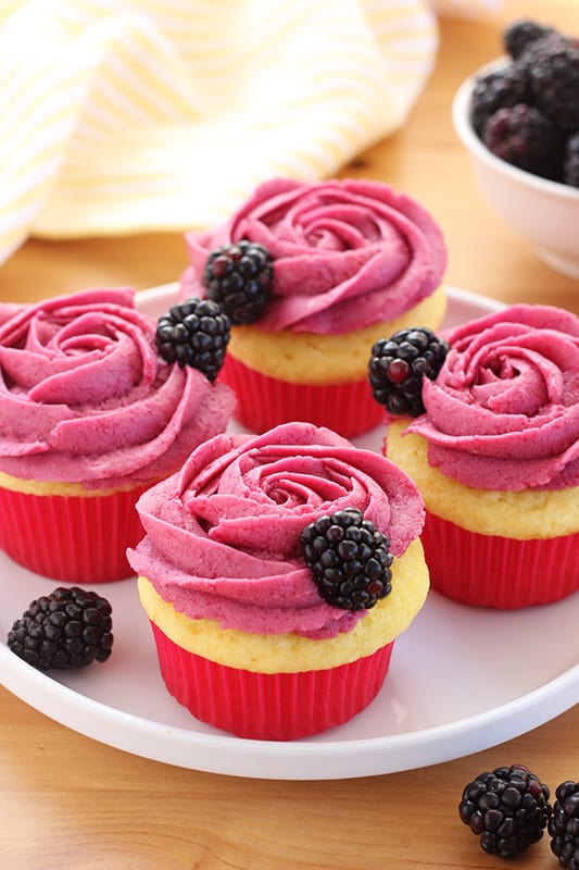 blackberry cupcakes with fresh berries on white plate