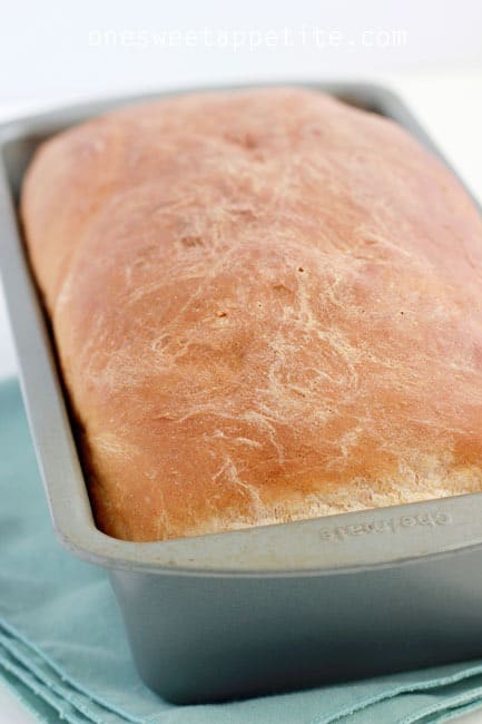 The best homemade white bread 