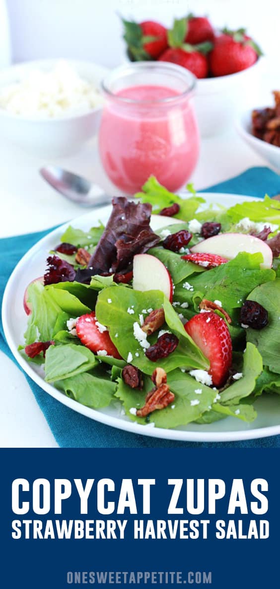 This tasty salad recipe is inspired by the Strawberry Harvest Salad at Zupa's! Filled with berries, candied pecans, apples, and topped with a sweet strawberry champagne vinaigrette! This tasty salad recipe is inspired by the Strawberry Harvest Salad at Zupa's! Filled with berries, candied pecans, apples, and topped with a sweet strawberry champagne vinaigrette!