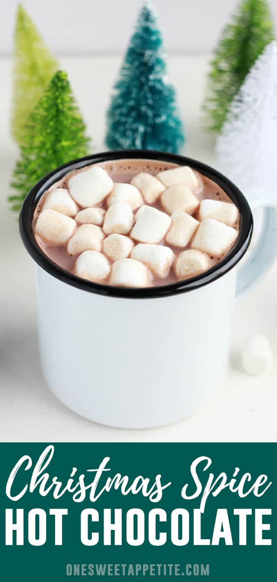 This Christmas Cocoa is the perfect way to warm your belly this holiday season! A classic Hot Chocolate Recipe is sprinkled with holiday spices for a unique and tasty version of the classic.