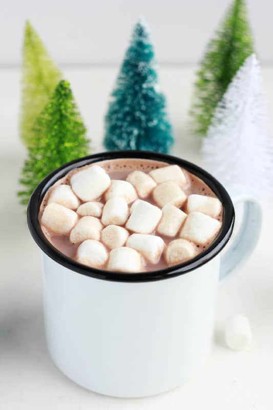 christmas-cocoa-on-One-Sweet-Appetite