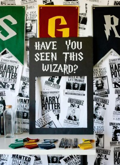 Harry Potter Wizard Prop