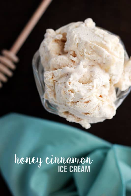 Honey Cinnamon Ice Cream - One Sweet Appetite