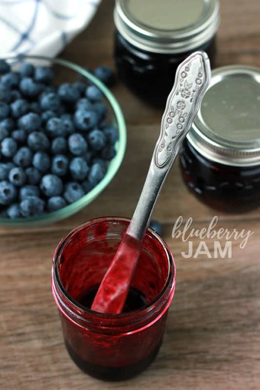Blueberry Jam 