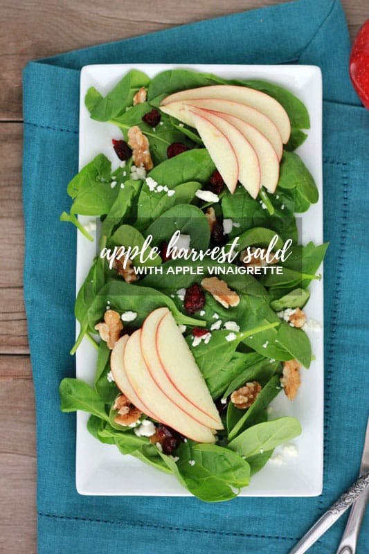 apple harvest salad on a white plate with a teal napkin