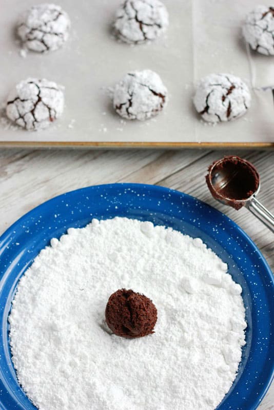 Chocolate cookie dough ball being rolled in powdered sugar