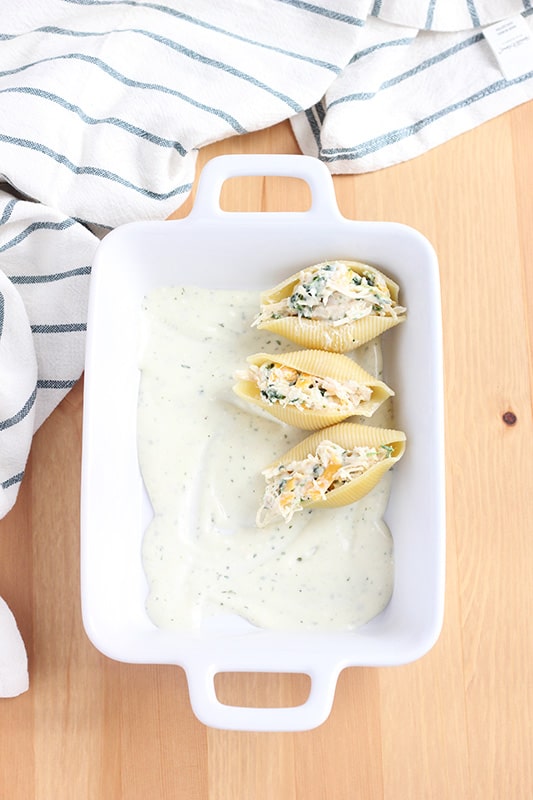 Stuffed shells being placed into a baking dish with alfredo sauce