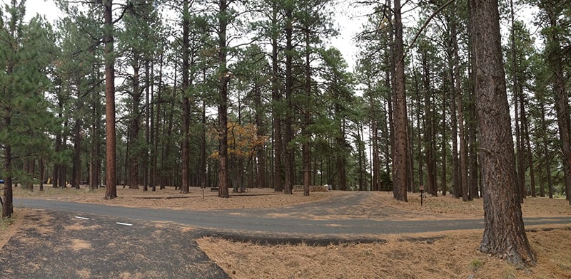 view of the north rim campground at the grand canyon