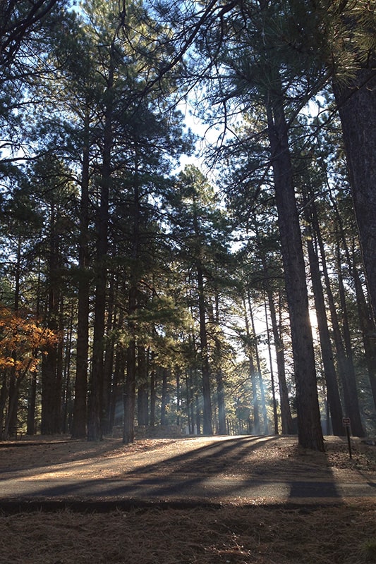 north rim grand canyon campground