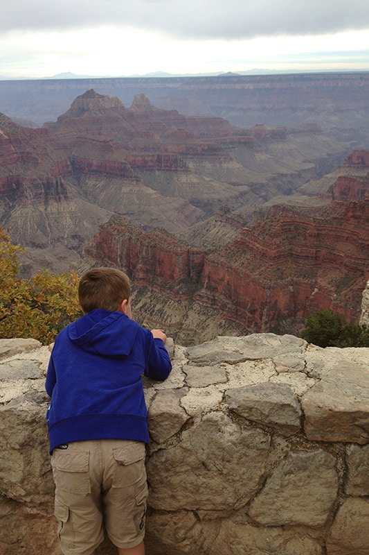 boy looks over rock wall at the grand canyon