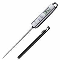 Food Thermometer 