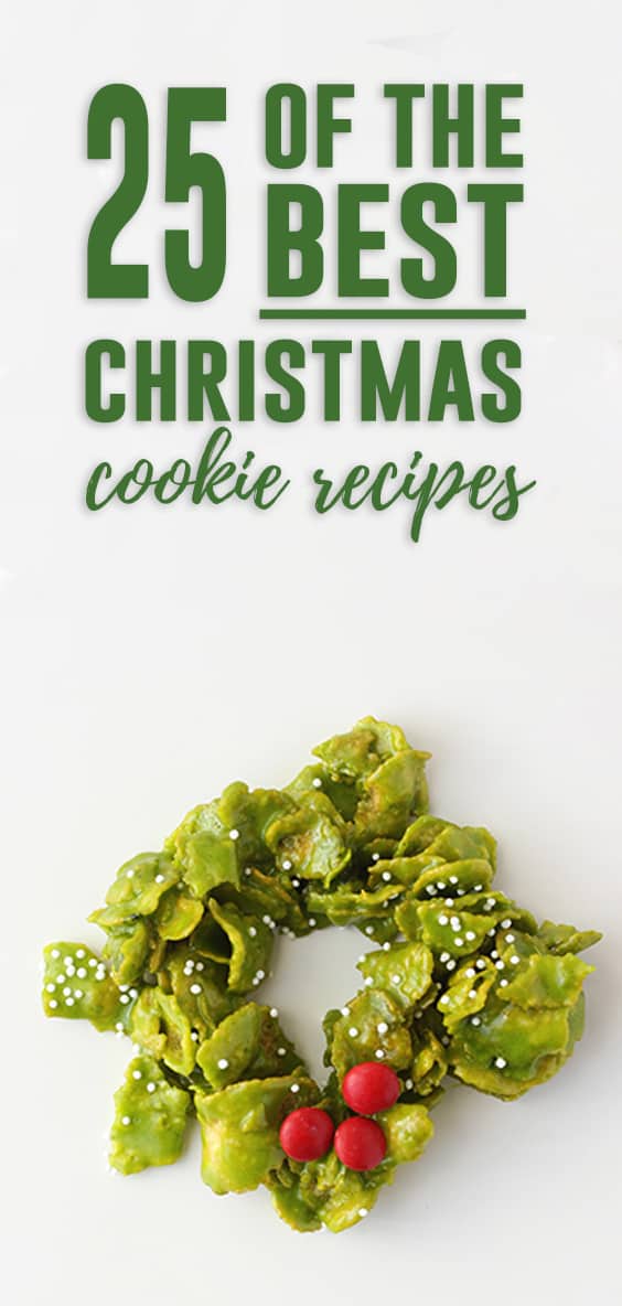25 of the Best Christmas Cookie Recipes to make this Holiday Season
