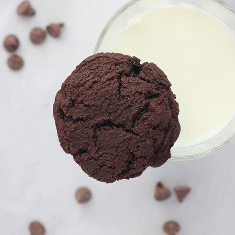 The Best Double Chocolate Cookie Recipe