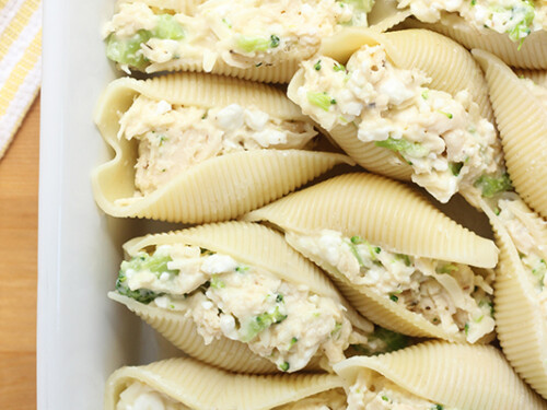 Chicken Alfredo Stuffed Shells - House of Nash Eats