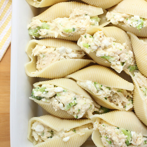 Easy Chicken Alfredo Stuffed Shells (Video) - One Sweet Appetite