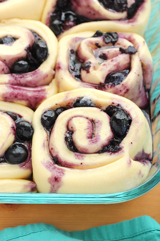 raw sweet rolls filled with blueberries lined in a 9x13