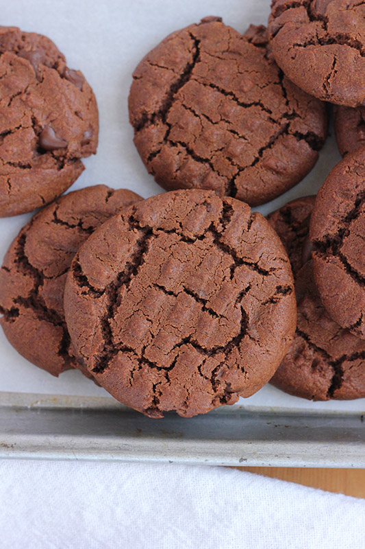 close up of chocolate cookie with peanut butter