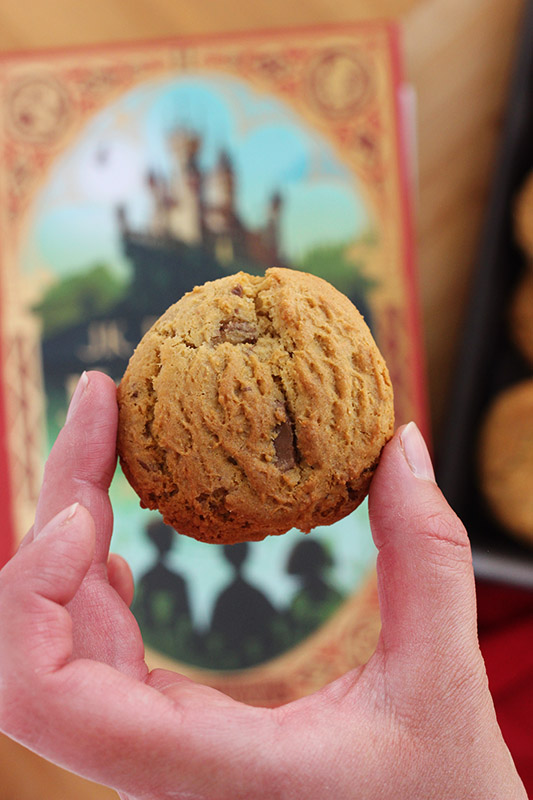 hand holding a single cookie over a Harry Potter Book