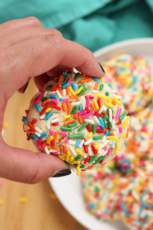 hand holding single cookie covered in sprinkles