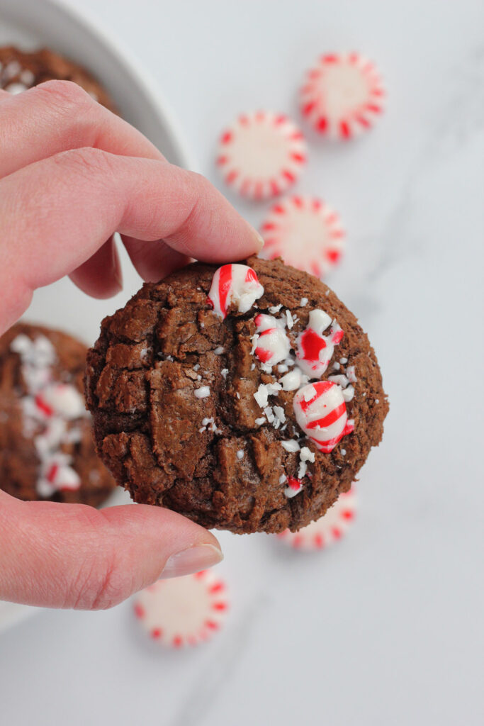 hand holding a chocolate cookie with sprinkled peppermint pieces