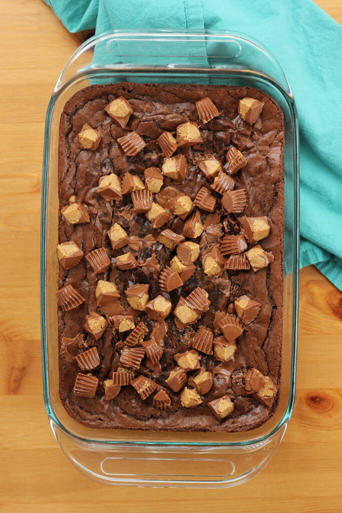 top down image of brownies that are covered in chopped peanut butter cups in a 9x13 pan
