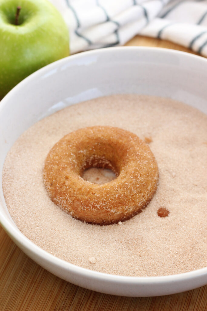 single donut sitting in a shallow white bowl with cinnamon and sugar. 