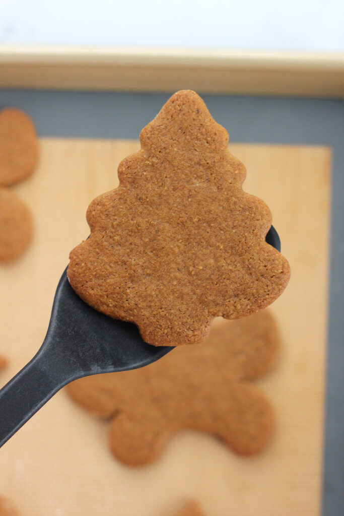top down image showing a tree shaped gingerbread cookie sitting on a black spatula being hovered over a baking tray that has more baked cookies