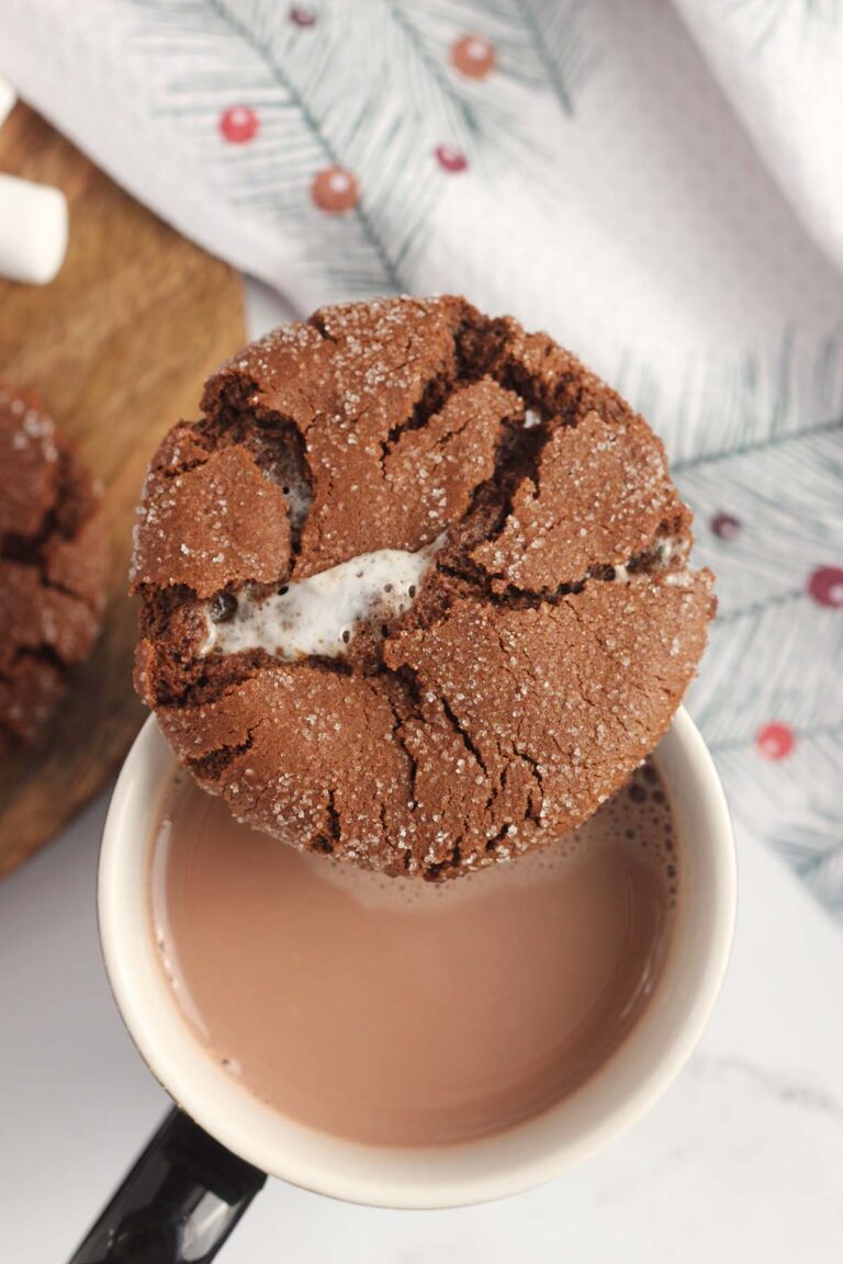 Hot Chocolate Cookies