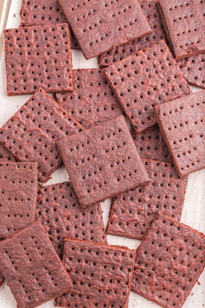 Top down image showing a spread of chocolate cookies spread across a parchment lined pan