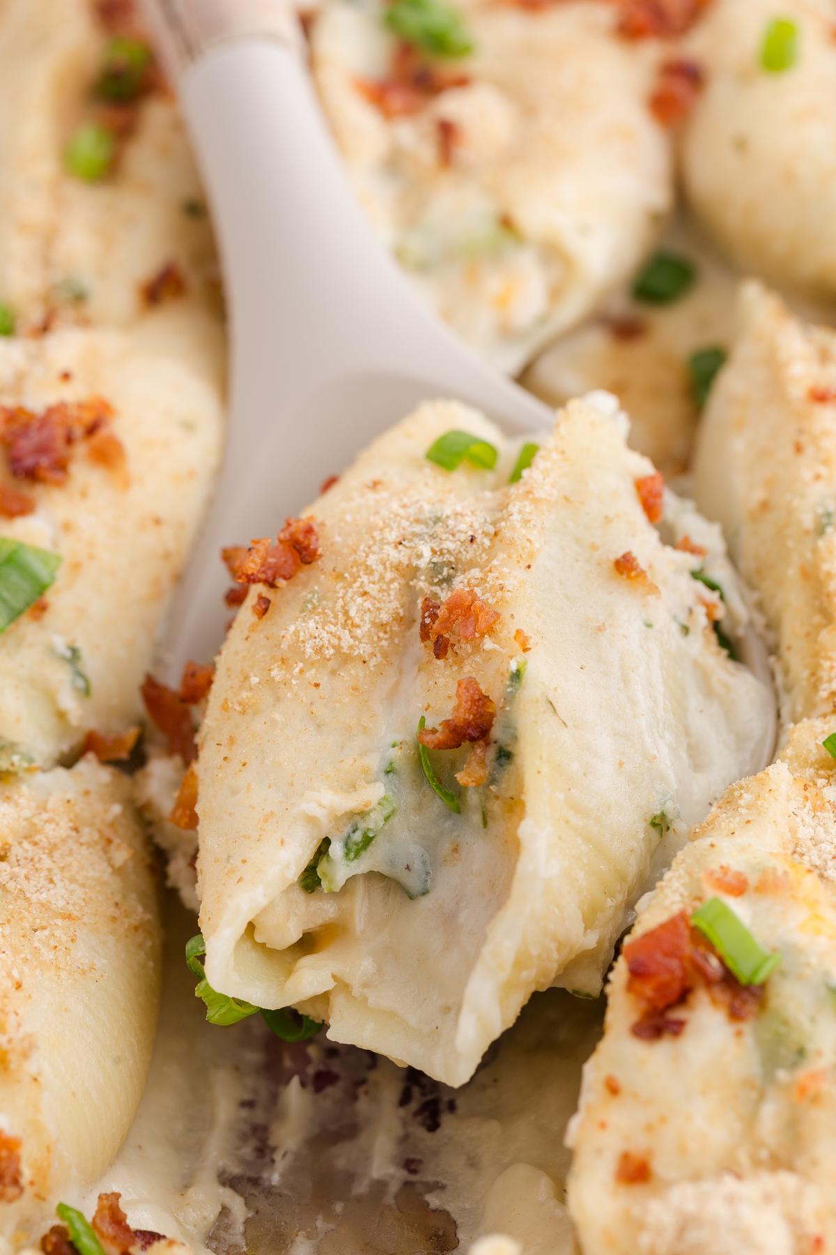 close up image showing a stuffed shell with crispy bacon and a white sauce